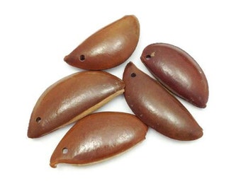 5 Aleta Brown, 33mm, 5 PCs, seed beads, beads, Crescent, pearls oblong, seed beads, seed beads, pendants, pendant, natural rain forest