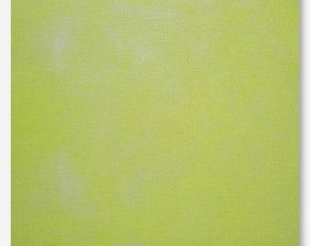 KERMIT hand-dyed cross stitch fabric Picture This Plus PtP 16 ct. Aida 28 count Cashel linen hand embroidery