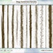 Wabi-Sabi Grunge Border Clip Art, Aged Effect Digital Stamp, Distress Ink Edge Photo Overlay, Photography Resource, PS Brush + PNG graphics
