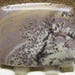 Sonora dendritic jasper freeform cabochon