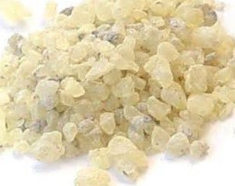 Damar Gum (Canarium strictum)