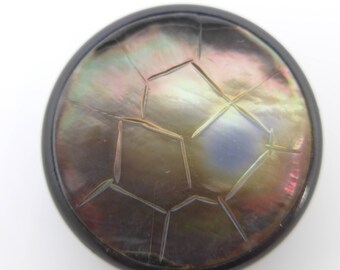 Large Celluloid Plastic Mother Pearl Button