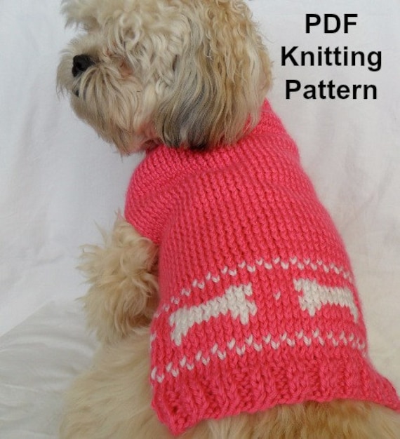 Free Knitting Pattern For Small Dog Sweater Pagswa