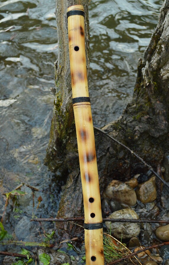 Egyptian Forest Flute with a ney like scale