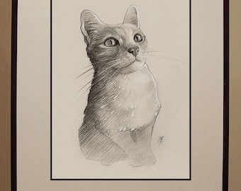 Custom graphite pencil pet portrait.