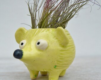 Hedgehog Planter / Air Plant Holder