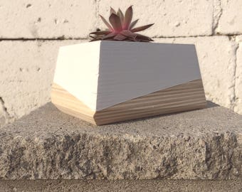 Desk Top Succulent Planter