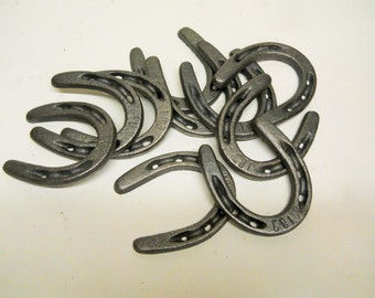 20 pc Cast Iron Pony Horseshoes for Decorating and Crafts