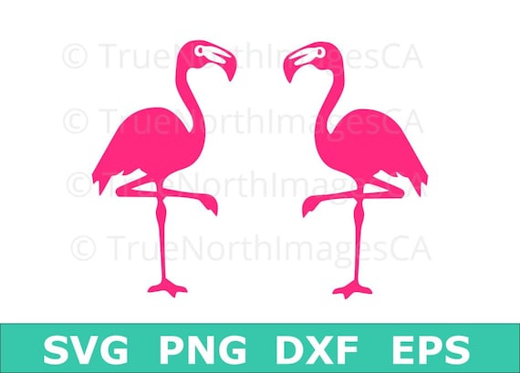 Download Flamingo SVG / SVG Flamingo / Flamingo Silhouette ...