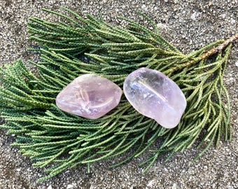 Amethyst, Tumbled Amethyst (#1) – EXACT crystals shown (2) Reiki Charged