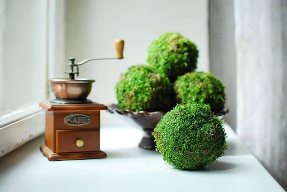 Natural Moss Balls Set Of 40 Decorative Balls For Bowls Fascinating Natural Decorative Balls Natural Moss Balls Set Of 40 Decorative Balls For Bowls Fascinating Natural Decorative Balls