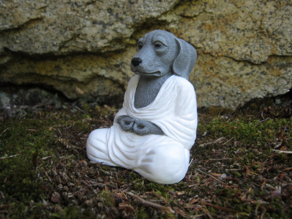 Meditating Dog Buddha Dog Buddhas Meditating Animal Zen