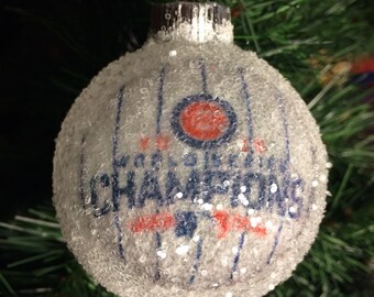 World Series Champions 2016!! Chicago Cubs glass glitter ornament