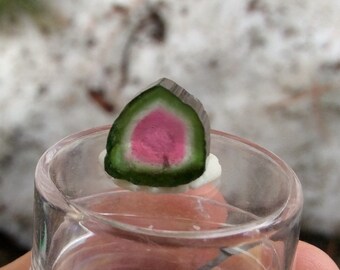 5.65 ct watermelon tourmaline slice from Kunar,Afghanistan D4*