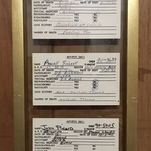 autopsy