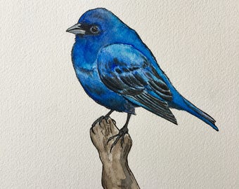 Indigo Bunting, Watercolor **original**