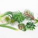 Fake succulents- Set of 10 Small to Medium Artificial Succulent Mix - Succulent, Succulents, Artificial Flowers - ITEM 01274