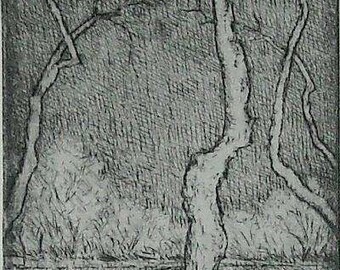 At the Pond. Drypoint. framed and ready to hang.