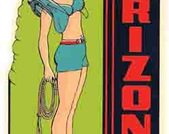 Vintage Style Pin-Up Girl Grand Canyon National Park Arizona Travel Decal sticker
