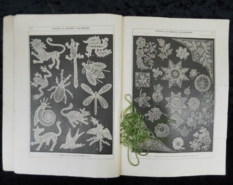 Studies in modern lacemaking Mars 1898 Vol 4 No 1 Butterick Metropolitan Art Series Please read full description Damage due to past humidity