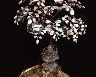 Meditation Man and the Opal Dream Tree