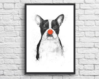 Art-Poster 50 x 70 cm - Clown Dog