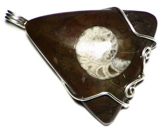 Fossil Pendant, Sterling Ammonite Necklace, Triangle Fossil Jewelry, Real Fossil in Silver, Nerdy Jewelry, Gift For Her, Palentology Science