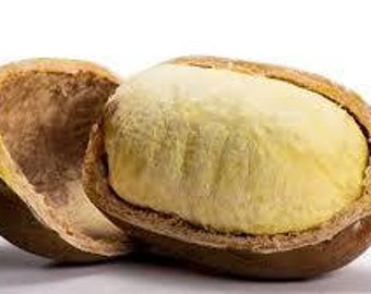 Cupuacu butter unrefined
