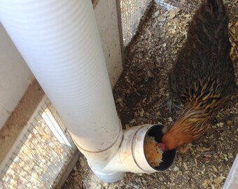 Poultry Gravity Feeder