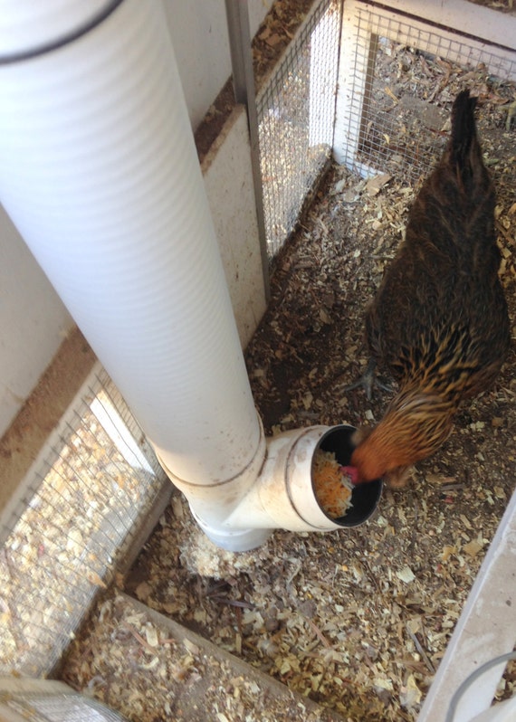 gravity feeder for chickens