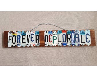 Wall Hanging - License Plate Art