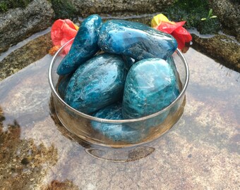 Blue Apatite Palm Stones (Extra Large 1.5-2 Inch Size) - AAA Grade Large Blue Apatite Tumbled Stones