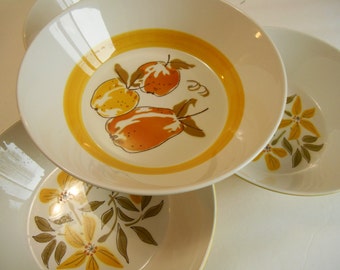 Mikasa Duplex High Summer by Ben Seibel Large Salad or Pasta Bowl