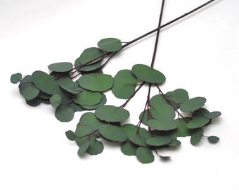 1 Stem Real Touch Leaf Artificial Eucalyptus Faux Eucalyptuses Silver Dollar Eucalyptus Wedding Bouquet Centerpiece Home Decor Boutonnières