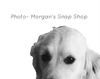 B&W "Magee the dog" ~ digital download