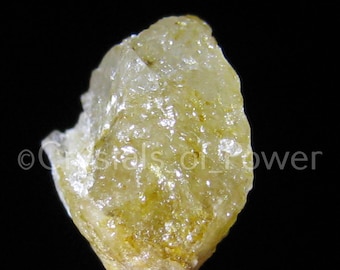 One GOLD YELLOW HERDERITE Crystal! All Natural & Genuine From Brazil! Rare Synergy 12 Stone! Most w/Terminated Crystals And Rainbows!