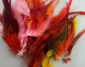 feathers orange red yellow mix 3 to 6 inches craft feathers wholesale feathers bulk feathers