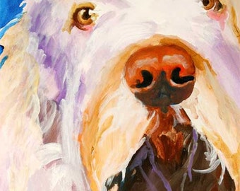 Italian Spinone Art Print of Original Acrylic Painting 8x10