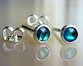 Paua shell earrings, Sterling silver stud earrings, abalone stud earrings