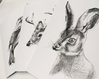 Pack of 3 greeting cards