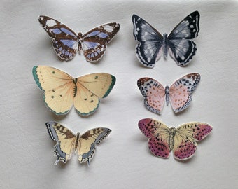 Choose One Butterfly Patch Colorful Cotton Patches variety moth bug patches