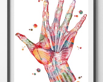 Hand Muscles Anatomy Art Print Hand and Wrist Muscles and Ligaments Watercolor Poster Orthopedy Illustration Hand Surgery Wall Decor