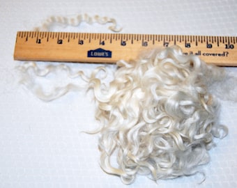 Cotswold Wool Locks, Spinning Fiber, Felting, Wool Doll Hair, Doll Wig, Santa Beards, Blythe Reroot, White with traces of Silver Gray 2 oz