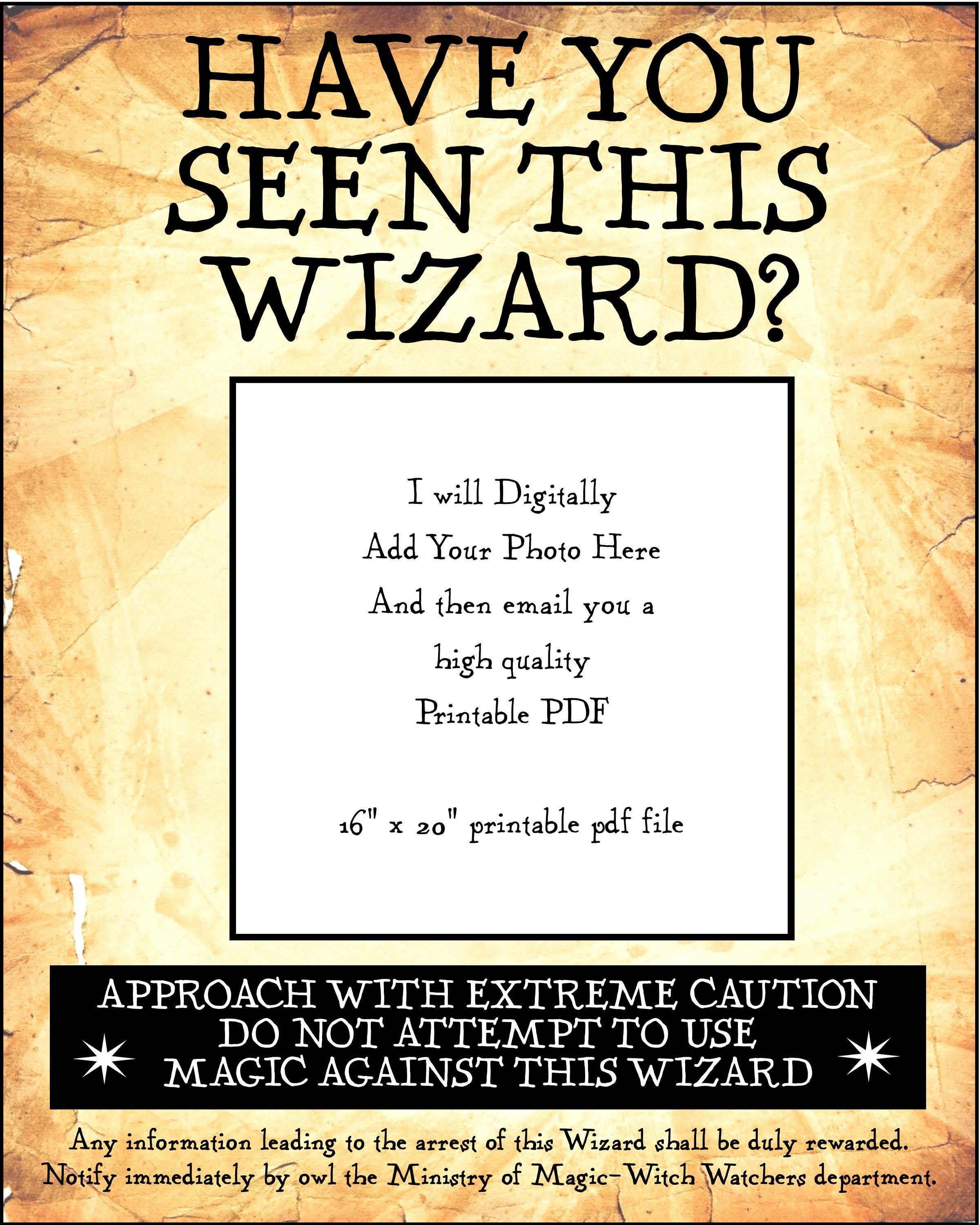 have-you-seen-this-wizard-wizards-16-x-20-inch-digital-pdf