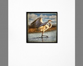 Any 5x5 square TTV matted to 11x14 (Crane at the Bosque, No.2 shown)