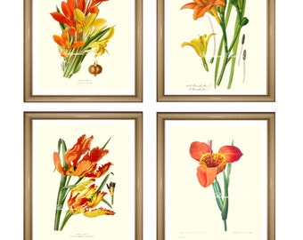 Orange flowers print Set. Botanical Print Set. Any 4 ORANGE flower prints. Floral Wall Art Set. Orange Wall Art. 8x10" 11x14"