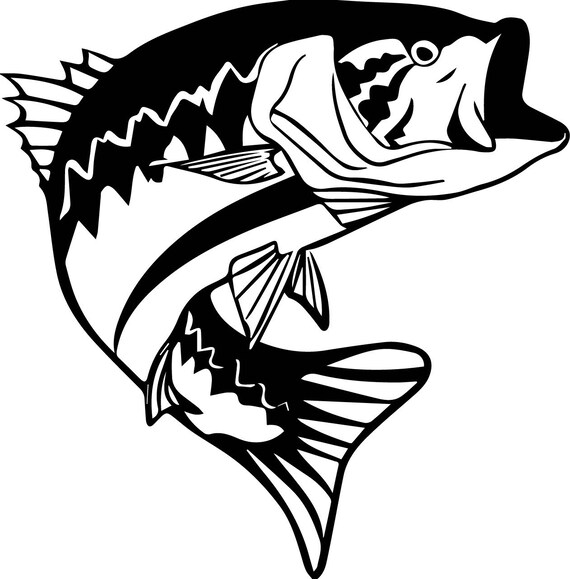 Free Free 166 Bass Svg Fish SVG PNG EPS DXF File