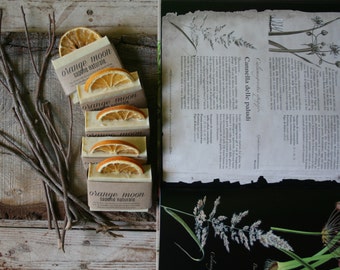 Slice of Orange Moon-natural vegetable soap vegan soap-artisanal soap-Tuscan olive oil