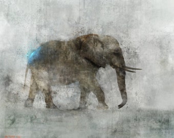 Elephant March 01: Giclee Fine Art Print 13X19