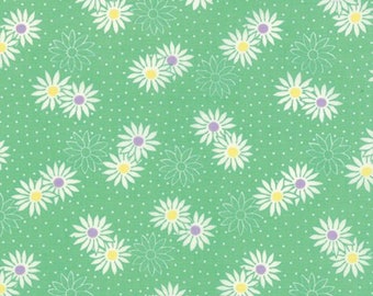 Playtime 30's by Moda Fabrics and Chloe's Closet 32794-16 By the Yard